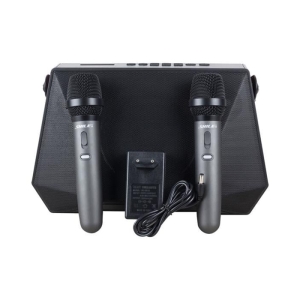 Shile SL-3A İki El Mikrofonlu Kumandalı USB/SD/BT Portatif Hoparlör