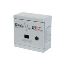 Sismik Siscut Doğalgaz Çıkışlı Elektronik Deprem Sensörü | Doğalgaz Çıkışlı